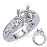 14 Kt White Gold Side Stone - Prong Set Engagement Rings