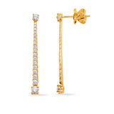 14 Kt Yellow Gold Fashion Earrings