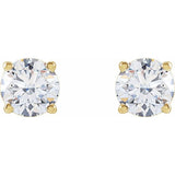 14K Yellow 1 1/4 CTW Lab-Grown Diamond Earrings