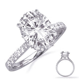 14 KT Rounds Shape White Gold Engagement Ring