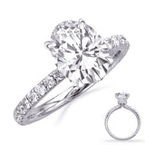 14 KT Rounds Shape White Gold Engagement Ring